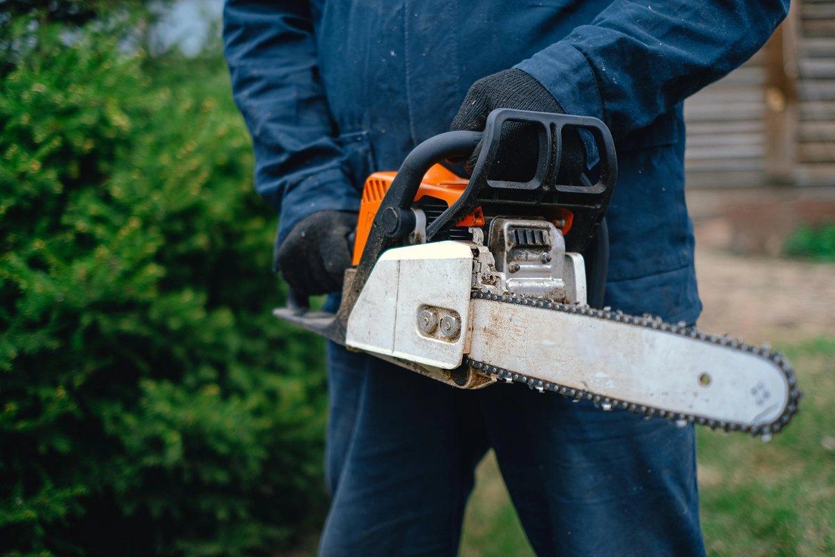 Affordable tree trimming services in Arrowbear Lake, CA, showcasing skilled arborists pruning healthy trees with quality equipment.