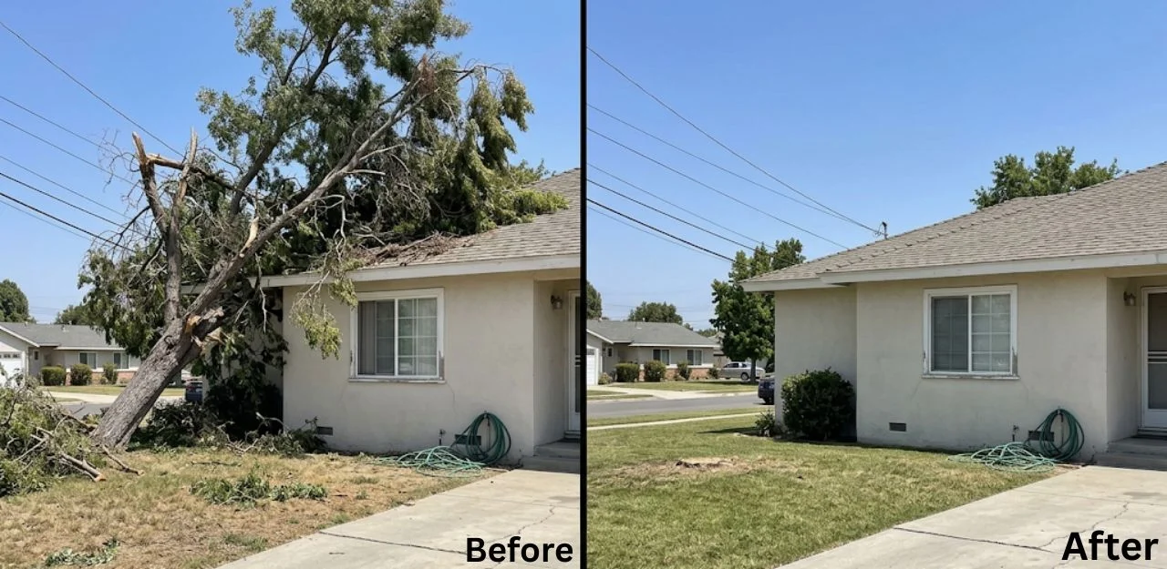 Before & After Image - Tree Removal Services in Arrowhead Farms, CA