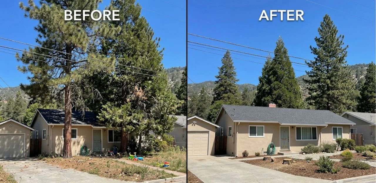 Before & After Image - Tree Removal Services in Arrowhead Highlands, CA