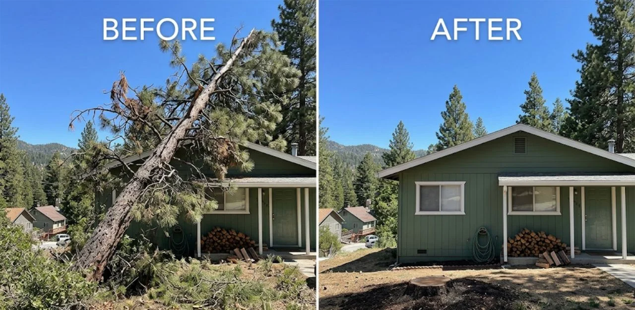 Before & After Image - Tree Removal Services in Arrowhead Villas, CA