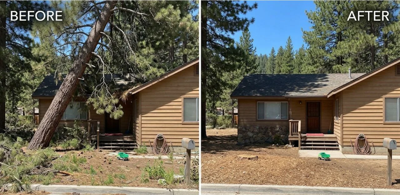 Before & After Image - Tree Removal Services in Big Bear, CA