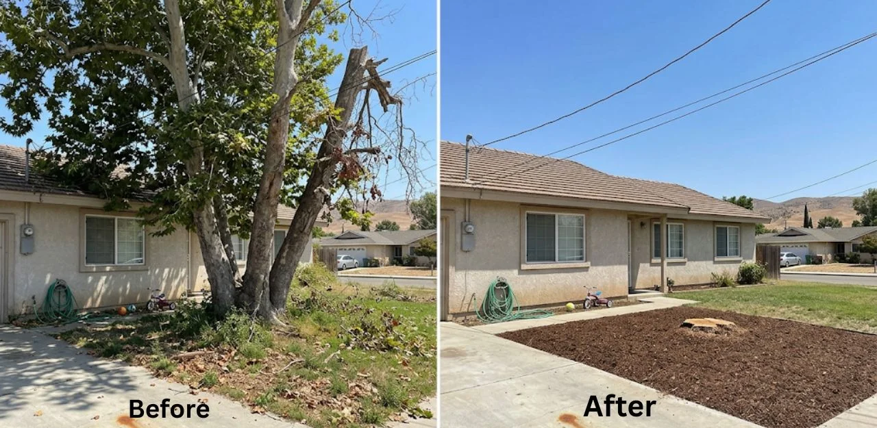 Before & After Image - Tree Removal Services in Crafton, CA