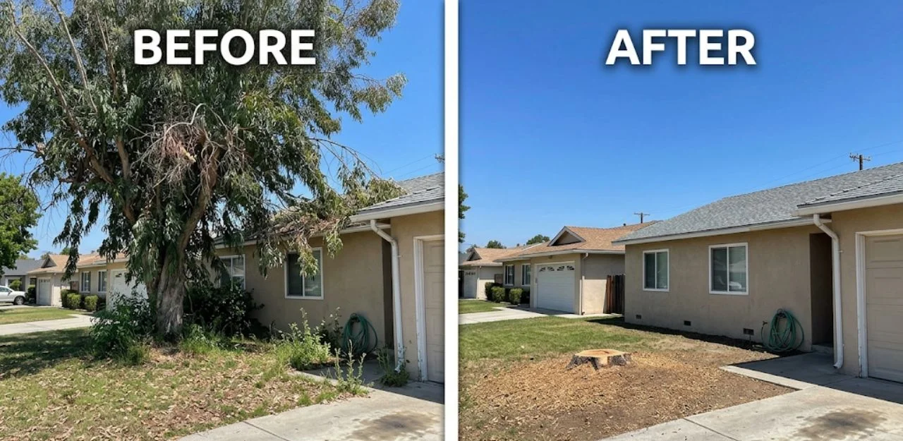 Before & After Image - Tree Removal Services in Devore Heights, CA