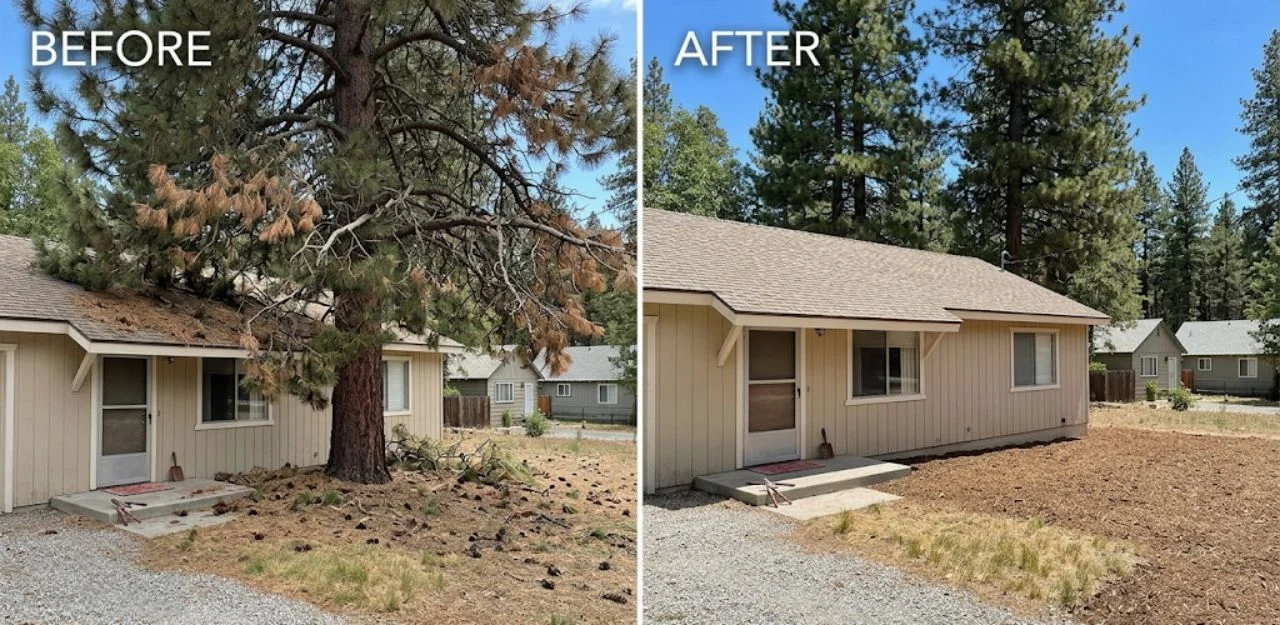 Before & After Image - Tree Removal Services in Fawnskin, CA