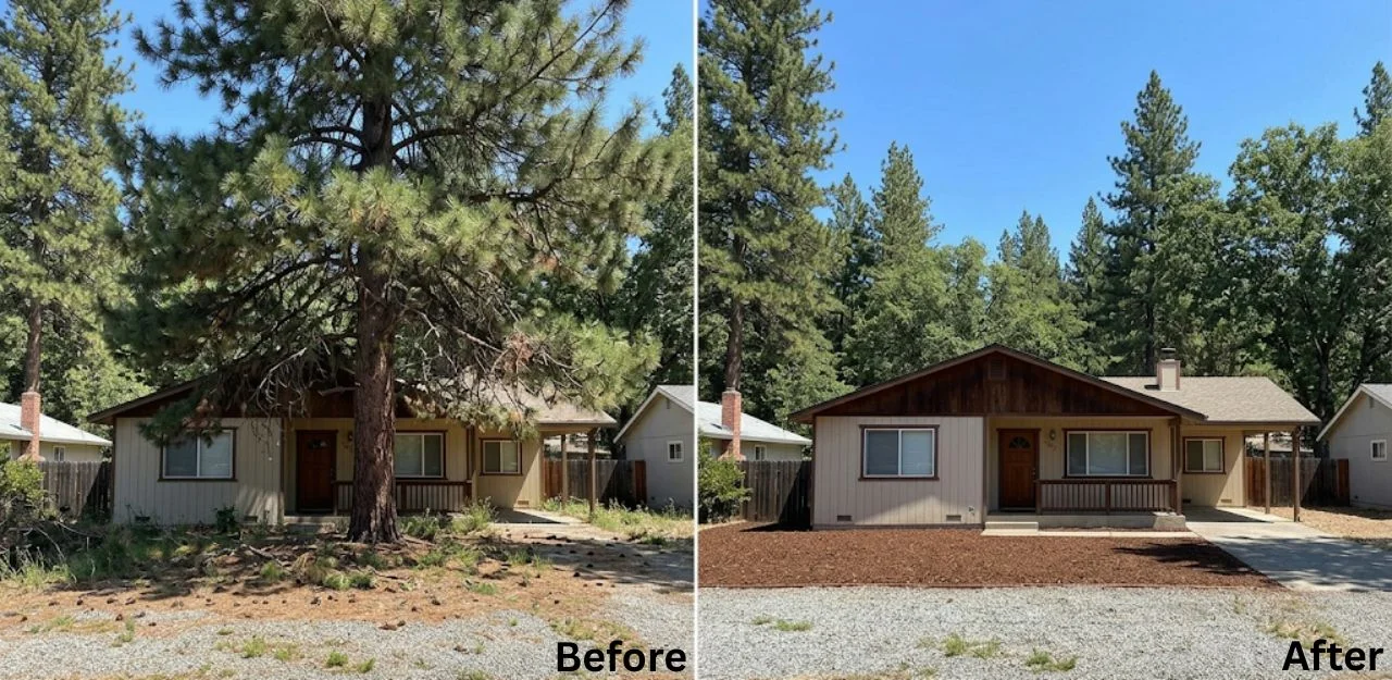 Before & After Image - Tree Removal Services in Hook Creek Tract, CA