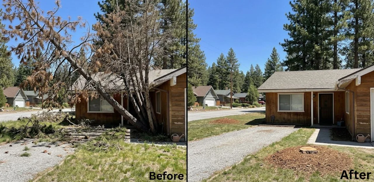 Before & After Image - Tree Removal Services in Lake Arrowhead, CA