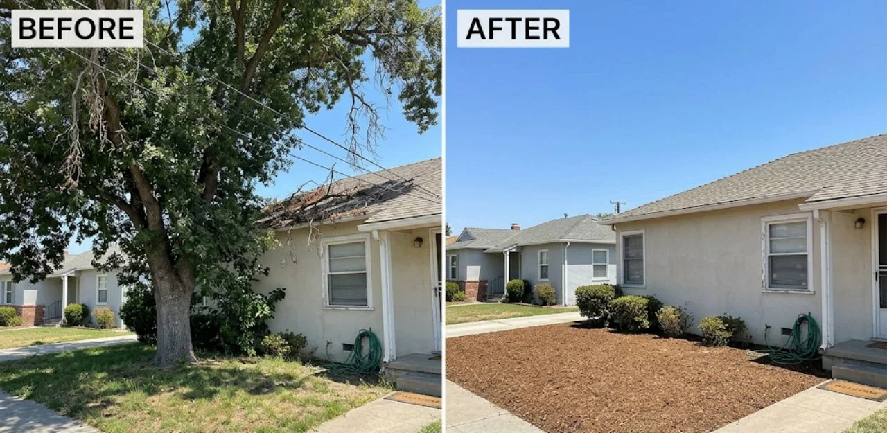 Before & After Image - Tree Removal Services in Minnelusa, CA