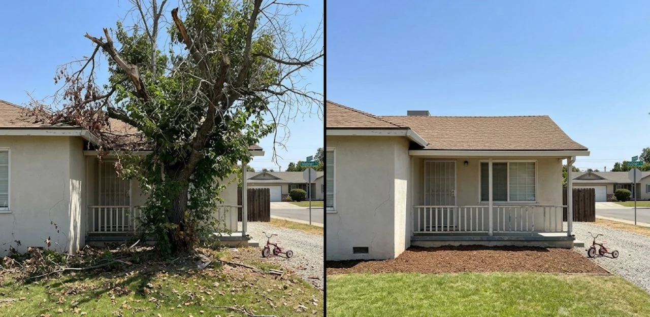 Before & After Image - Tree Removal Services in Muscoy, CA