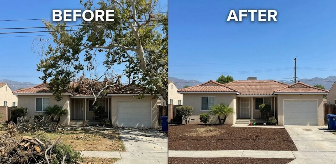 Before & After Image - Tree Removal Services in Rancho Cucamonga, CA