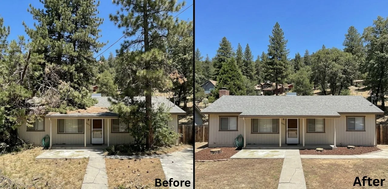 Before & After Image - Tree Removal Services in Running Springs, CA