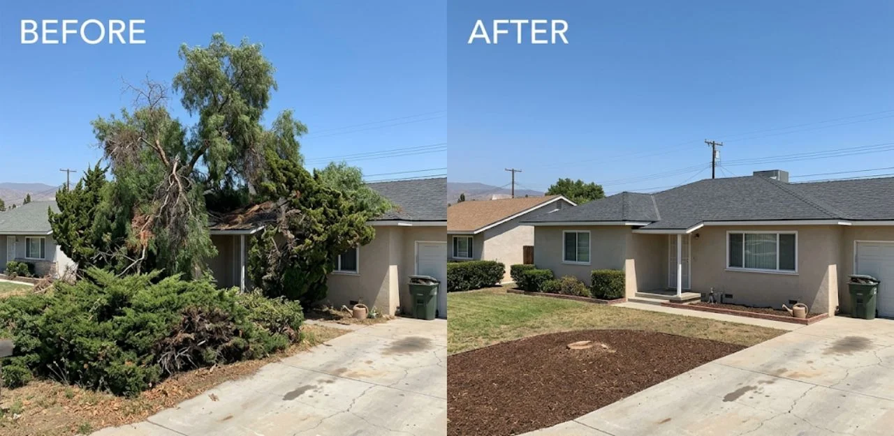 Before & After Image - Tree Removal Services in Sierra Lakes, CA