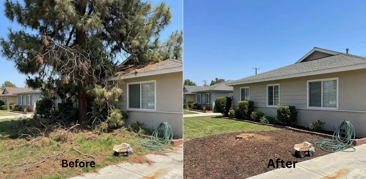 Before & After Image - Tree Removal Services in South Redlands, CA