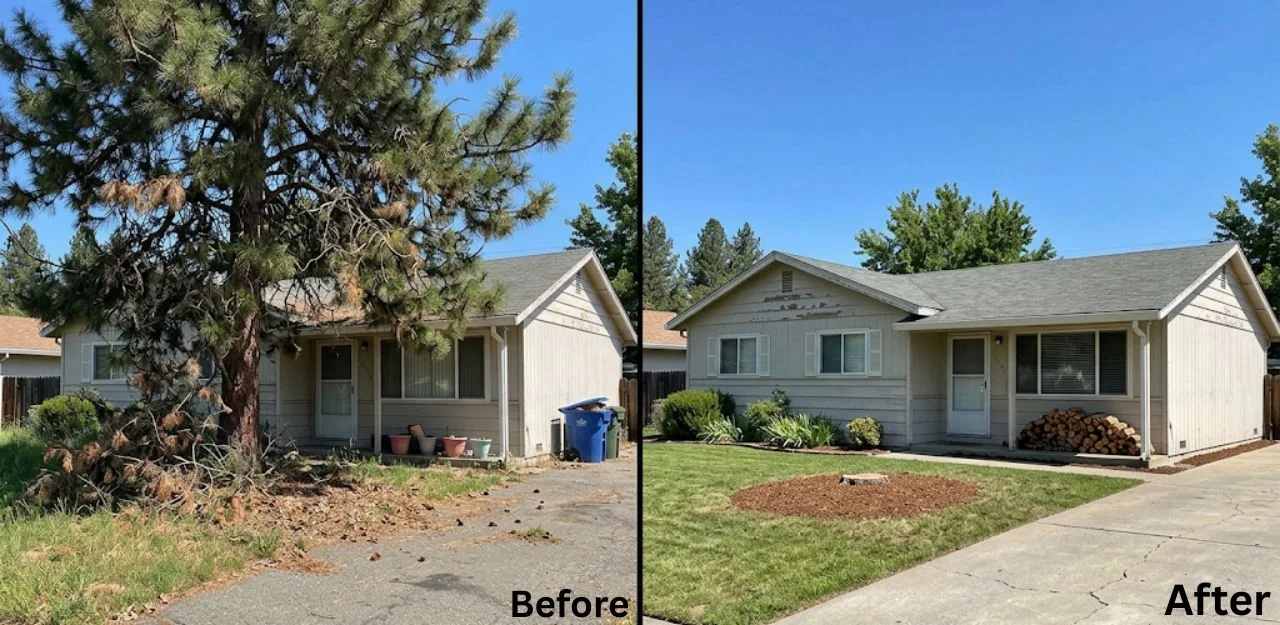Before & After Image - Tree Removal Services in Sugarloaf, CA