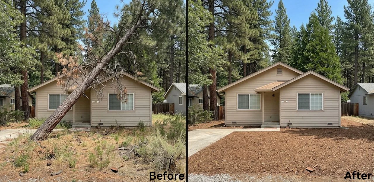 Before & After Image - Tree Removal Services in Valley Of Enchantment, CA