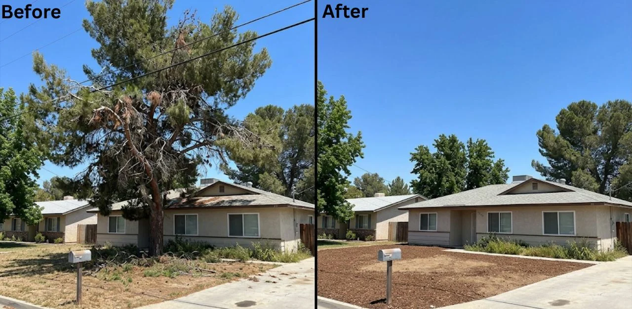 Before & After Image - Tree Removal Services in Yucaipa, CA