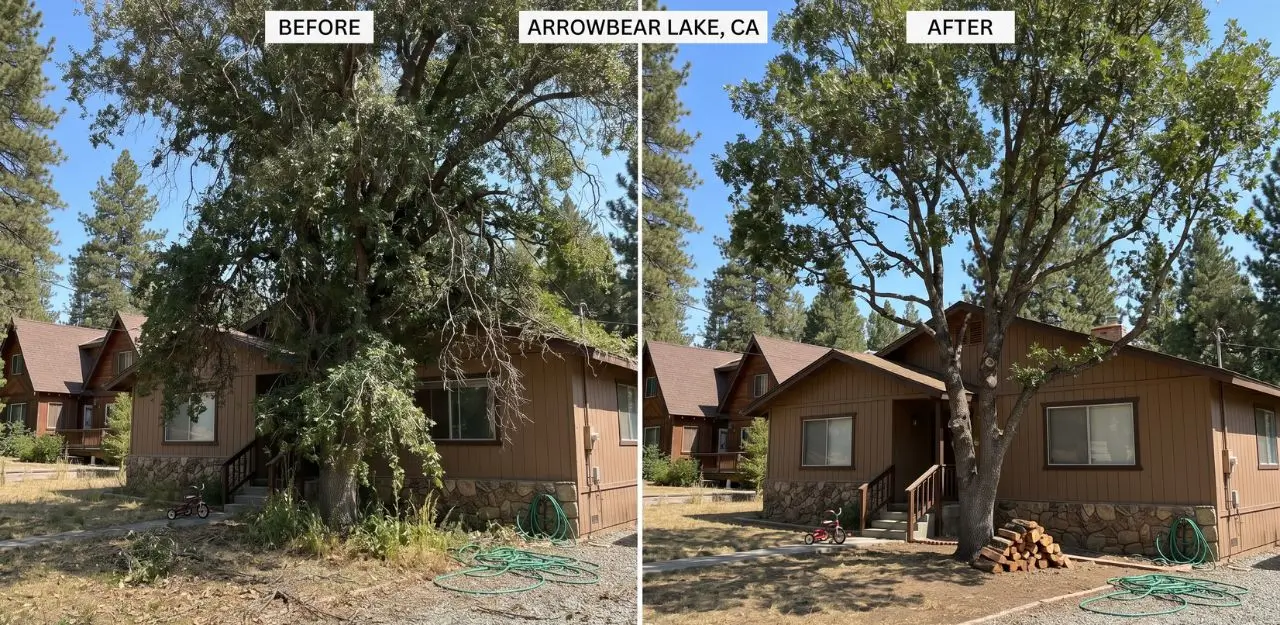 Before & After Image - Tree Trimming Service in Arrowbear Lake, CA