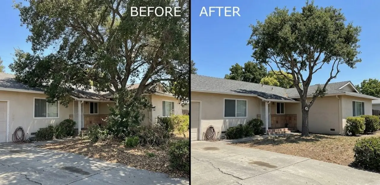 Before & After Image - Tree Trimming Service in Del Rosa, CA