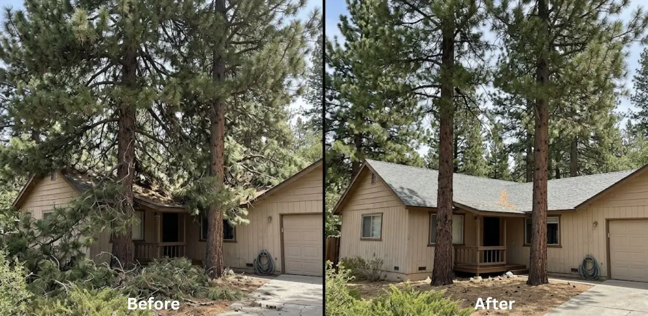 Before & After Image - Tree Trimming Service in Fawnskin, CA