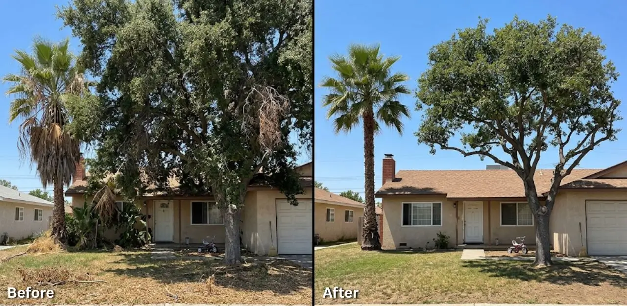 Before & After Image - Tree Trimming Service in Riverside, CA