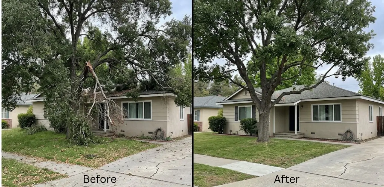 Before & After Image - Tree Trimming Service in Running Springs, CA