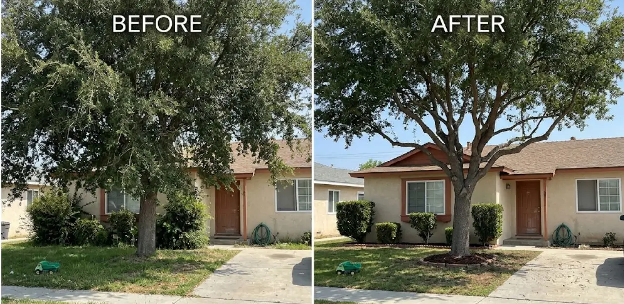 Before & After Image - Tree Trimming Service in South Redlands, CA