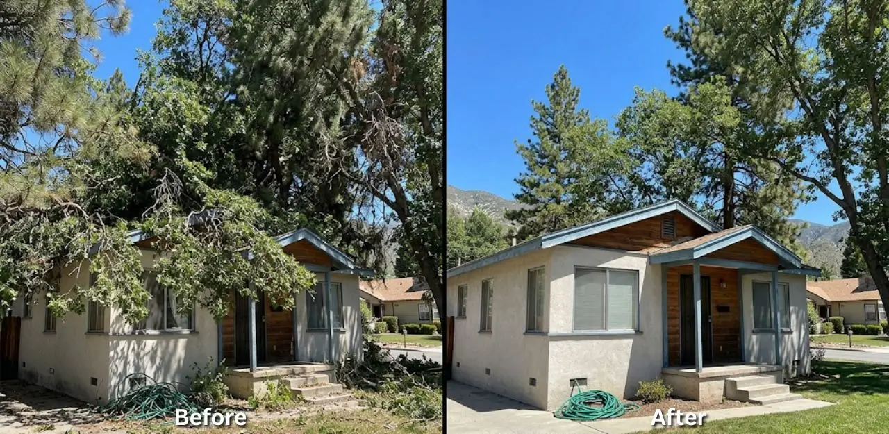 Before & After Image - Tree Trimming Service in Valley Of Enchantment, CA