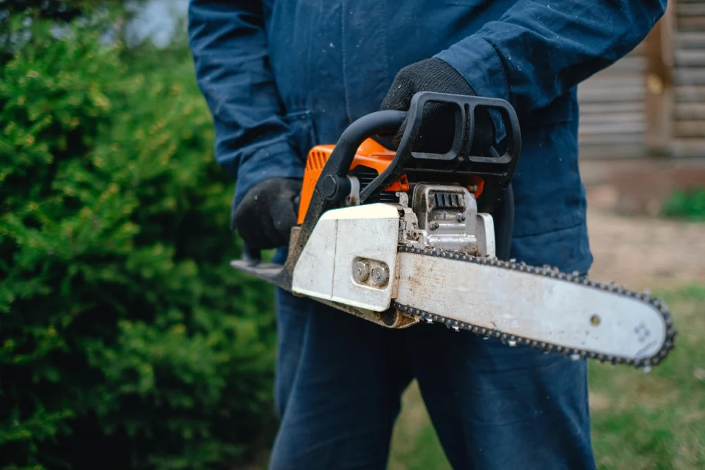 Affordable Tree Trimming Services service in Nealey's Corner, CA, showcasing professional arborists trimming large trees to maintain health and appearance.