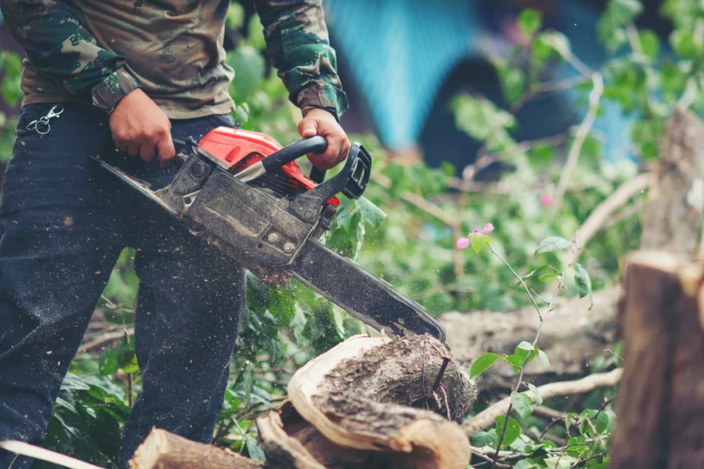 Brush removal and haul away service in Cedar Pines Park, CA, showing workers clearing thick brush and loading debris into a truck.