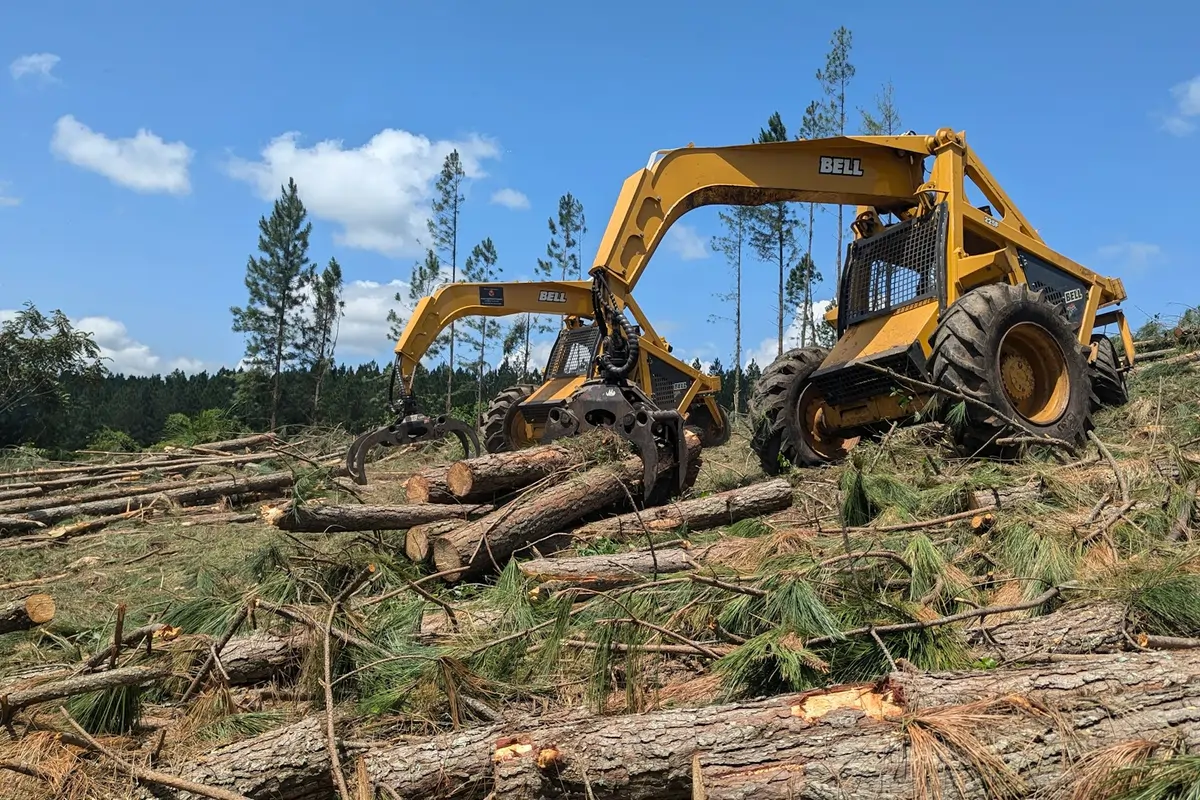 Defensible space clearance in San Bernardino County, CA, showing a cleared area around a home to reduce wildfire risk with a contractor working on vegetation management.