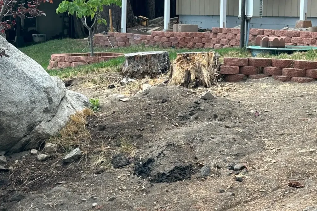 Emergency tree removal service in Minnelusa, CA, with workers quickly cutting and clearing a fallen tree from a residential property.