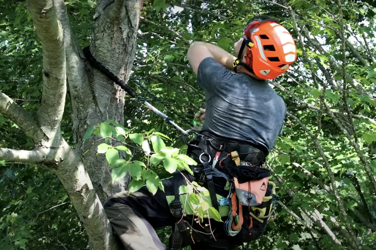 Fire abatement service professionals inspecting a residential property in Cedar Glen, CA, with equipment to reduce wildfire risk for homeowners.