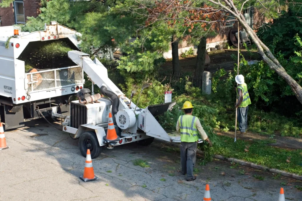 A professional brush clearing crew working in Cedar Pines Park, CA, ensuring fire code compliance with licensed equipment and safety gear.