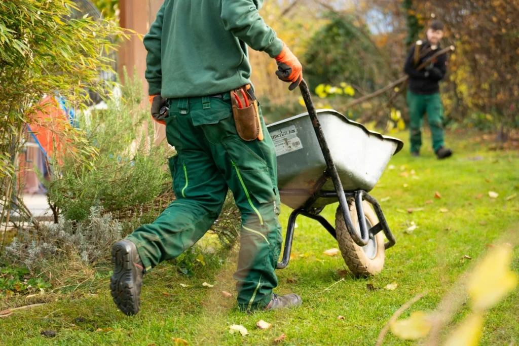 A professional Tree Trimming Services crew working on a large tree in Hunters Ridge, CA, showcasing expert services from a local Tree Trimming Services company.