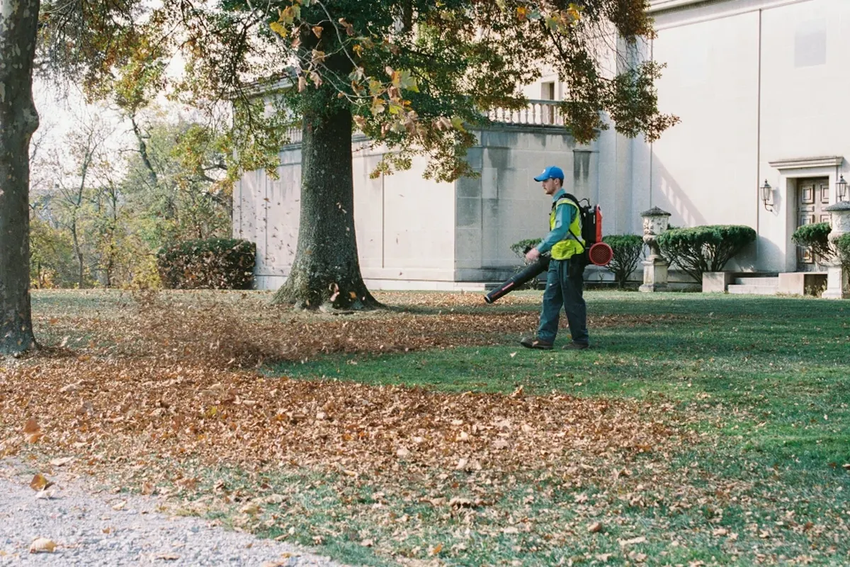 A commercial retail and office park in Erwin Lake, CA, with well-maintained trees being professionally trimmed along the walkways and parking areas.